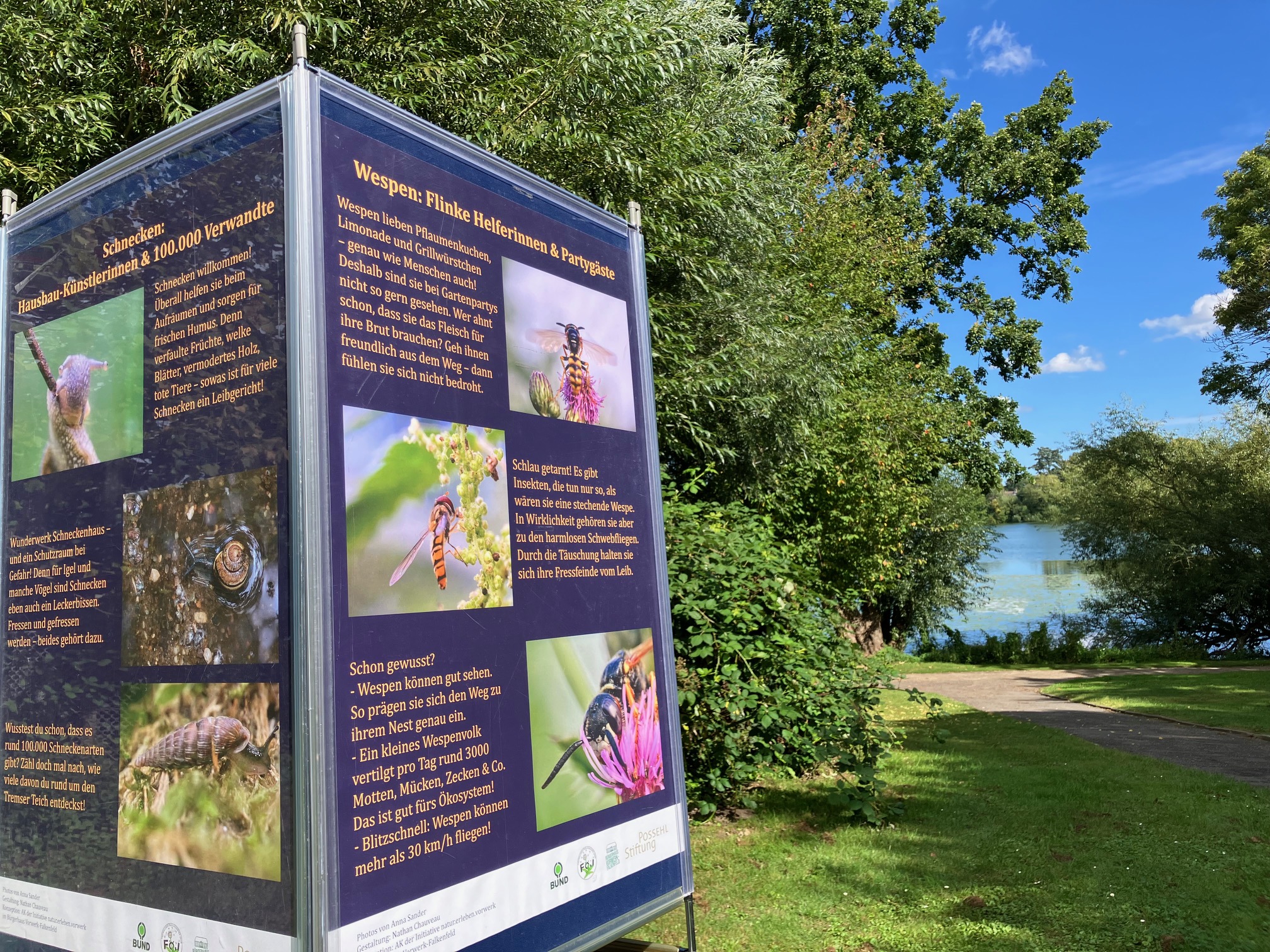 Ausstellungsprojekt begonnen: Natur und Nahrung am Tremser Teich